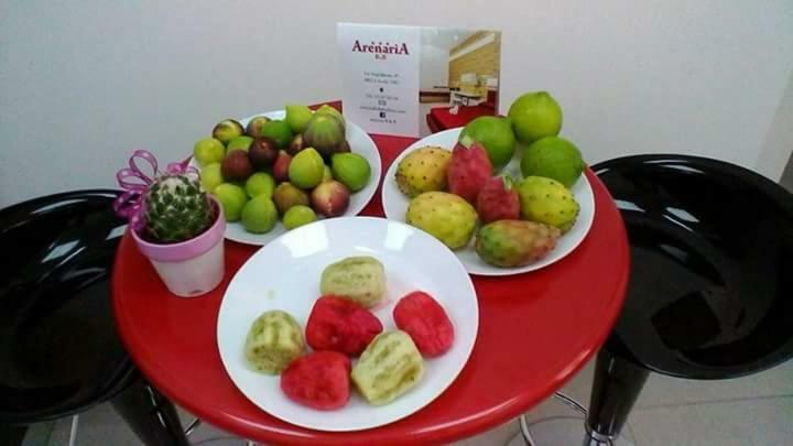 אבולה Arenaria B&B מראה חיצוני תמונה