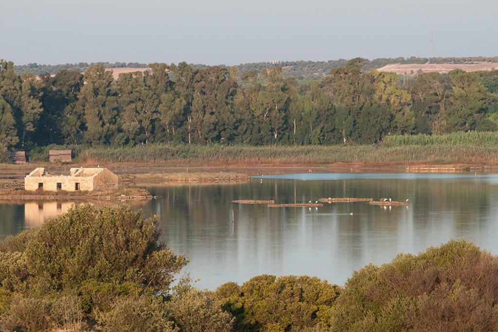 אבולה Arenaria B&B מראה חיצוני תמונה